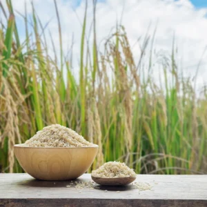 Rice (Upland and Lowland Varieties)