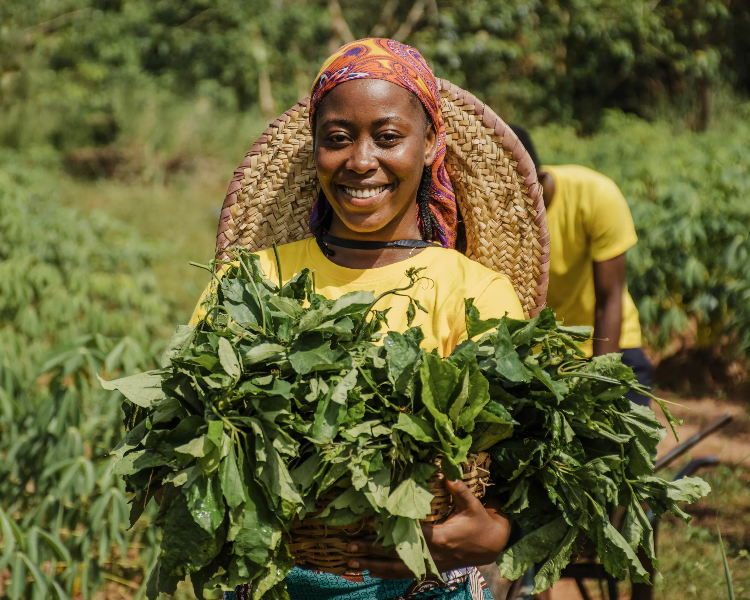 woman-harvesting-leaves-agriculture-services