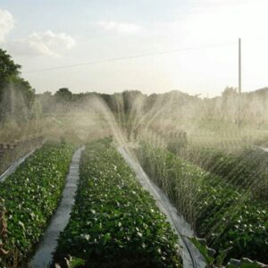 crop-irrigation-system