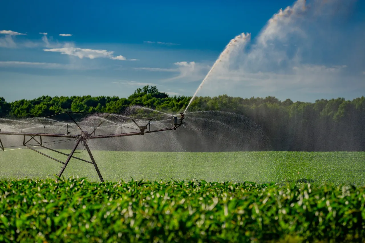 agricultural-irrigation-system-agriculture-services