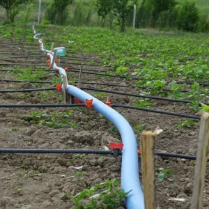Drip Irrigation Systems