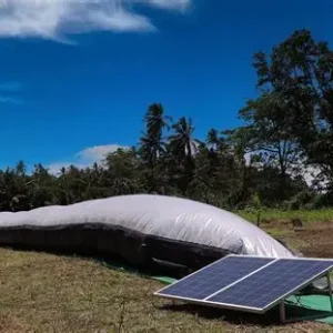 olar-powered-biomass-dryer-agriculture-services