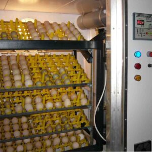 egg-incubator-machine