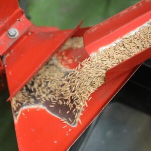 Mills, Destoner, Sorting and Thresher Machines