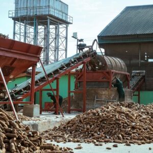 Cassava Processing Machine