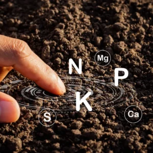 Compound Fertilizers