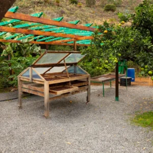 solar-drying-system-agriculture-services