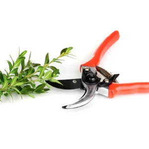 pruning-shears-garden-tool-for-trimming-branches