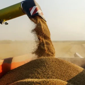 Post-Harvest Machinery